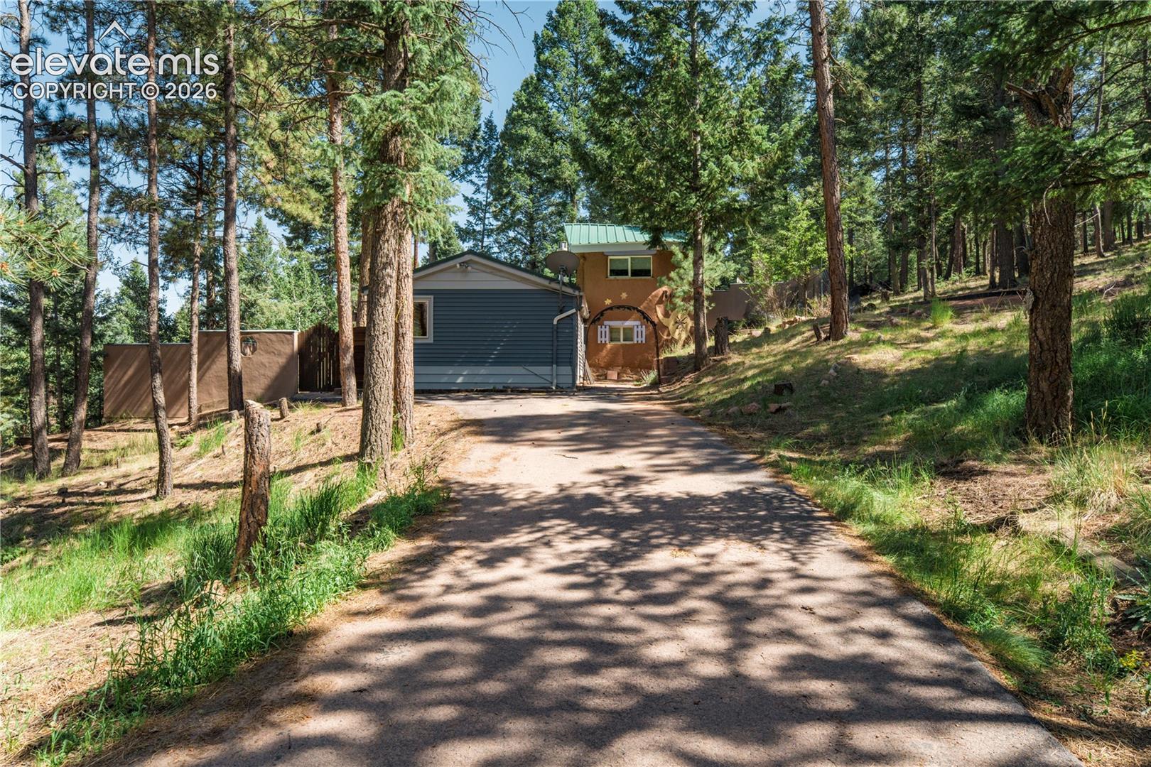 196 Summer Haven Dr, Woodland Park, CO 80863