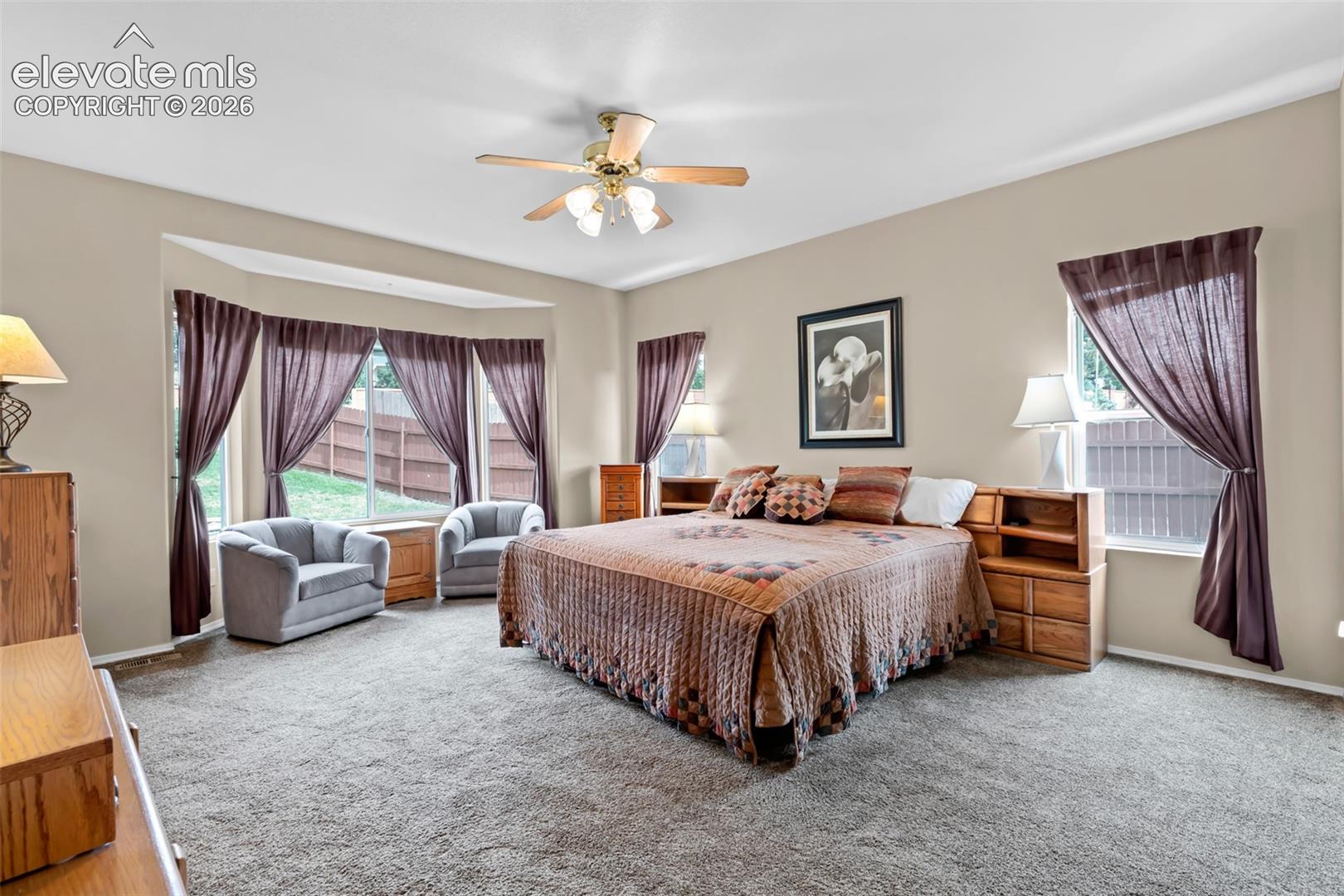 Photo 19 of 4784 Spotted Horse Drive, Colorado Springs