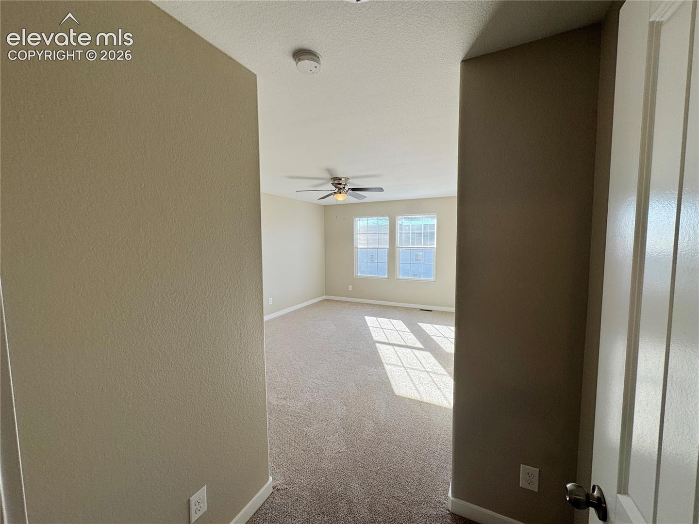 Neutral wall-to-wall carpeting, ceiling fan with light fixture, and dual windows providing natural light