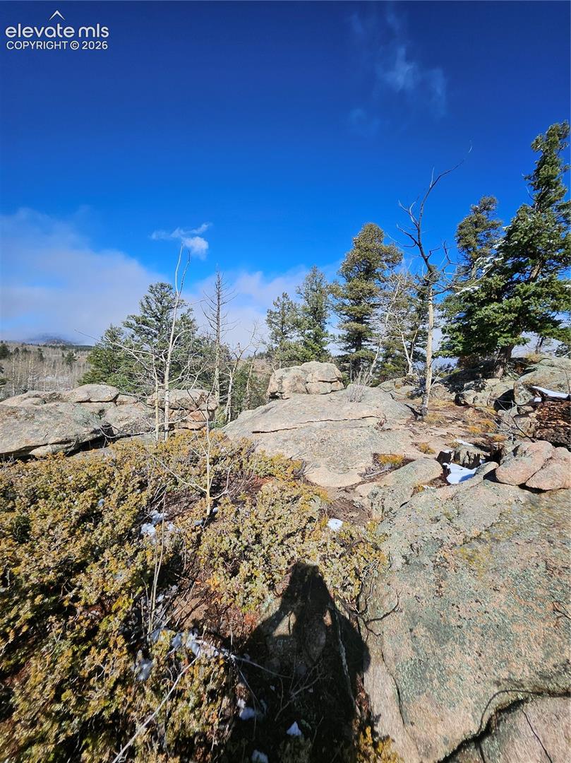 Natural terrain featuring exposed granite rock formations, native vegetation, and coniferous trees set against a mountain backdrop