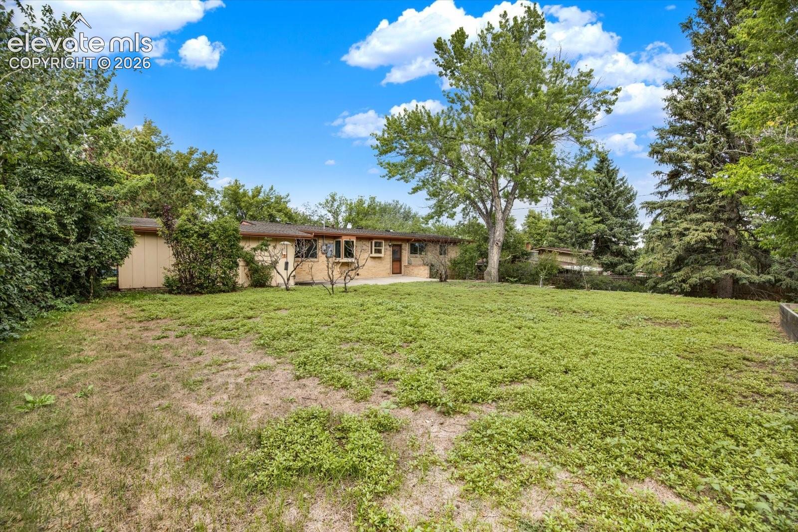 Large backyard. 