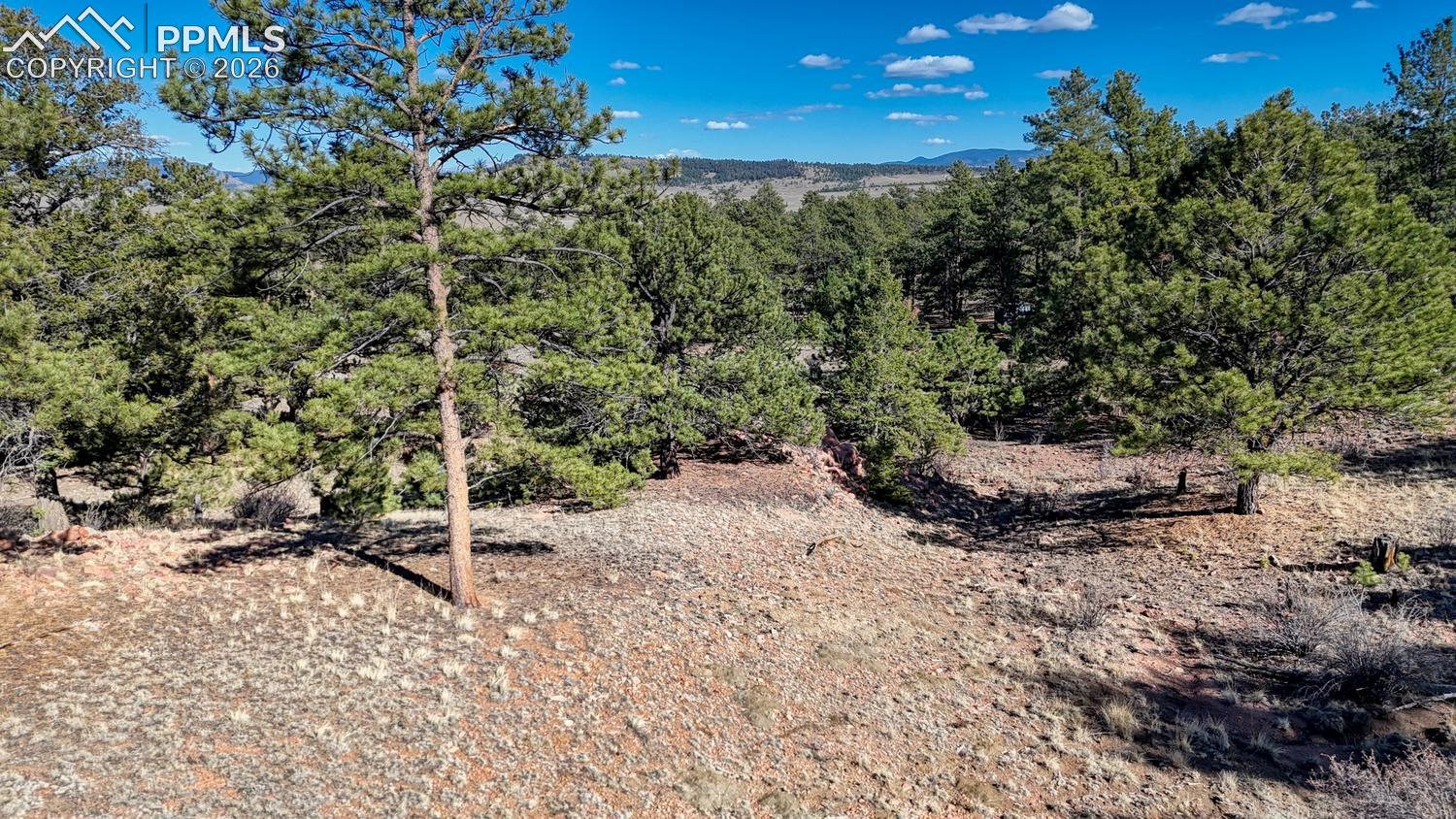 Photo 12 of Lot 5124 Arikara Trail, Hartsel