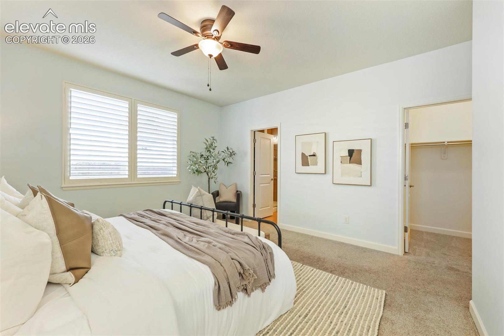 plantation shutters throughout