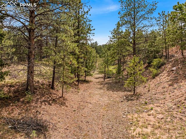 776 County Road 26, Canon City, CO 81212