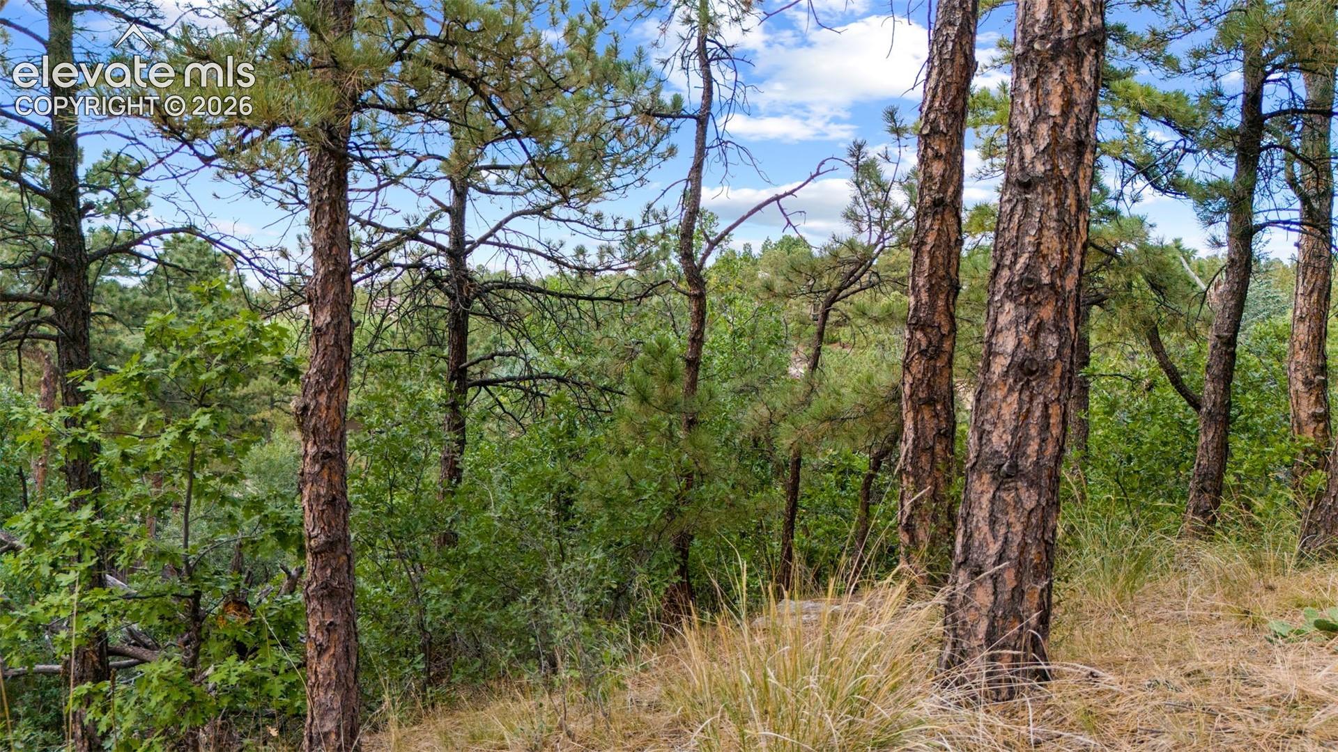 Photo 8 of 5831 Spurwood Court, Colorado Springs