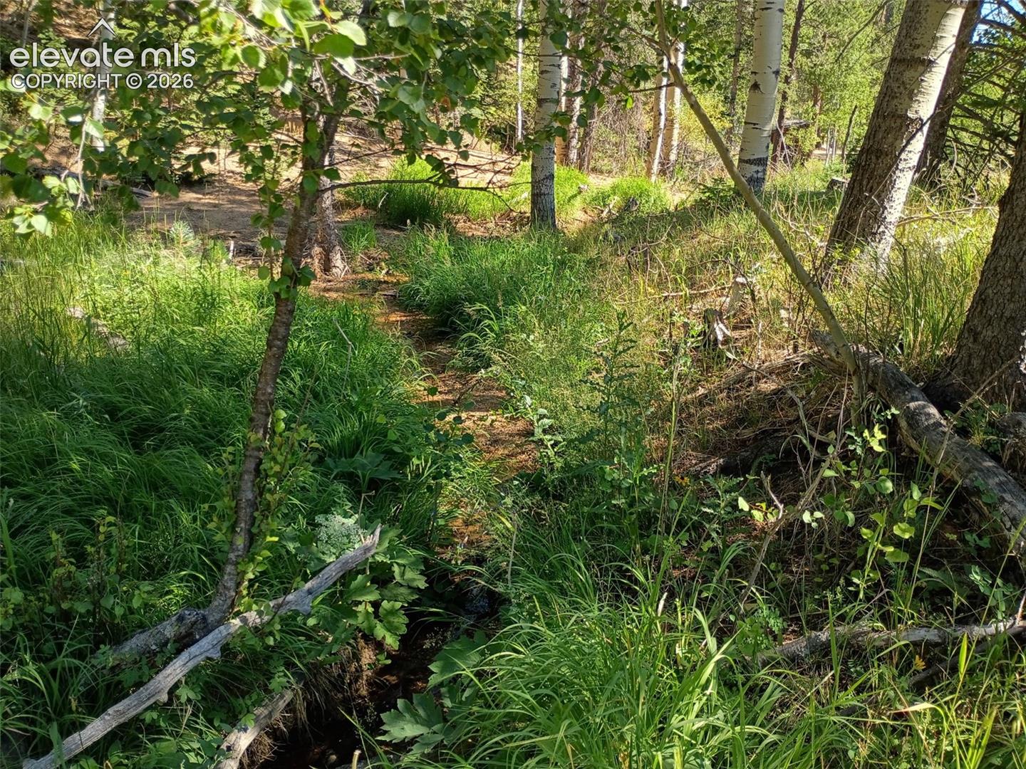146 Waterfall Loop, Manitou Springs, CO 80829