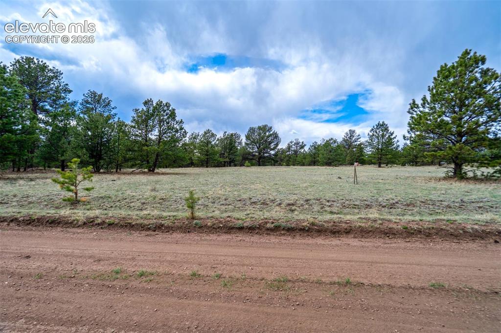 Photo 9 of Tract 103 Doe Valley Road, Guffey