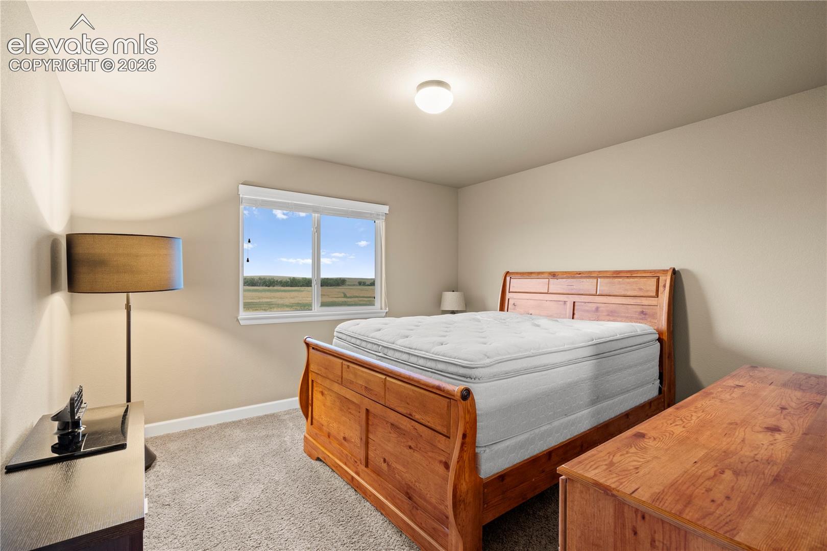 Photo 21 of 9071 Pennycress Drive, Colorado Springs