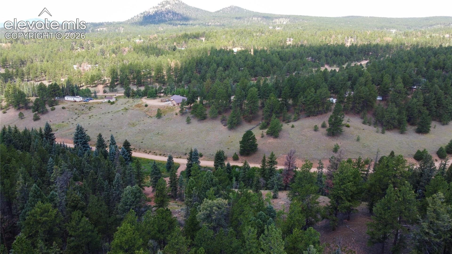 1570 Pathfinder Rd, Florissant, CO 80816