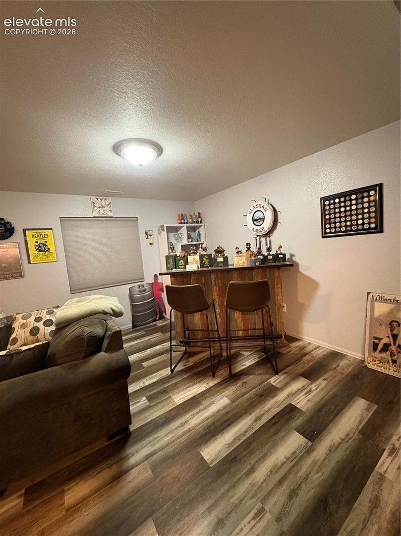Wood-finish flooring throughout, a built-in bar, and a flush-mount ceiling light fixture