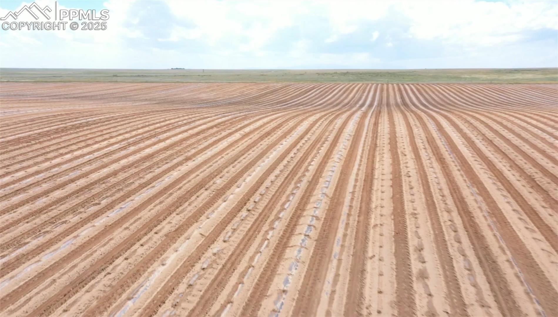 Fields when in production