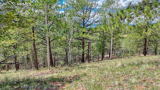 Photo 16 of 24 Wild Horse Circle, Cripple Creek