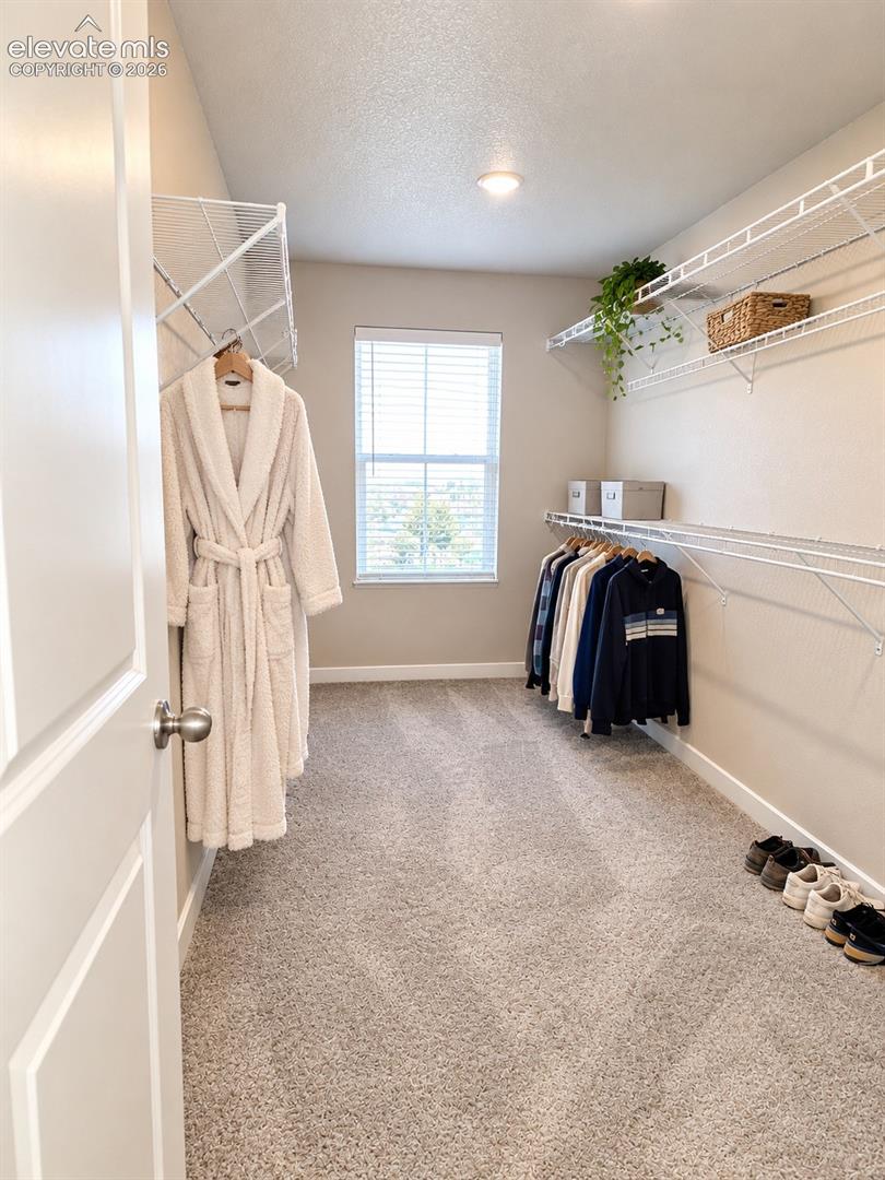 Primary Closet