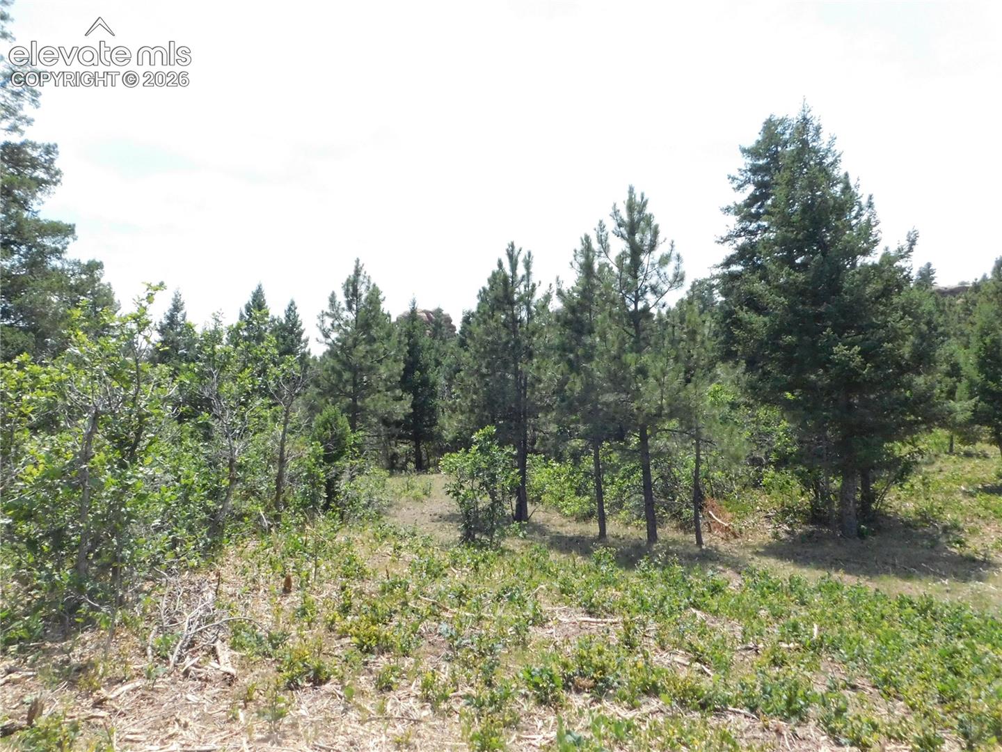 Photo 48 of 6447 Thunderbird Road, Larkspur