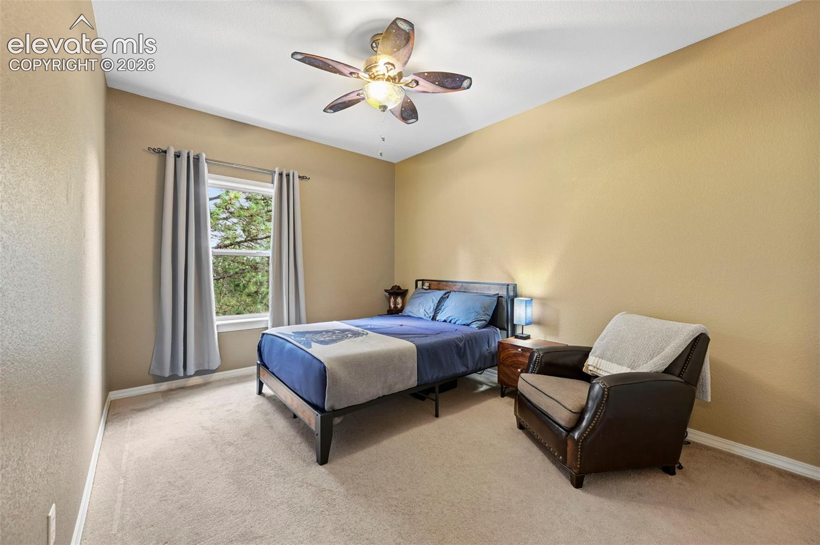 Bright secondary bedroom with soft yellow walls, carpeted flooring, and abundant natural light from a large window