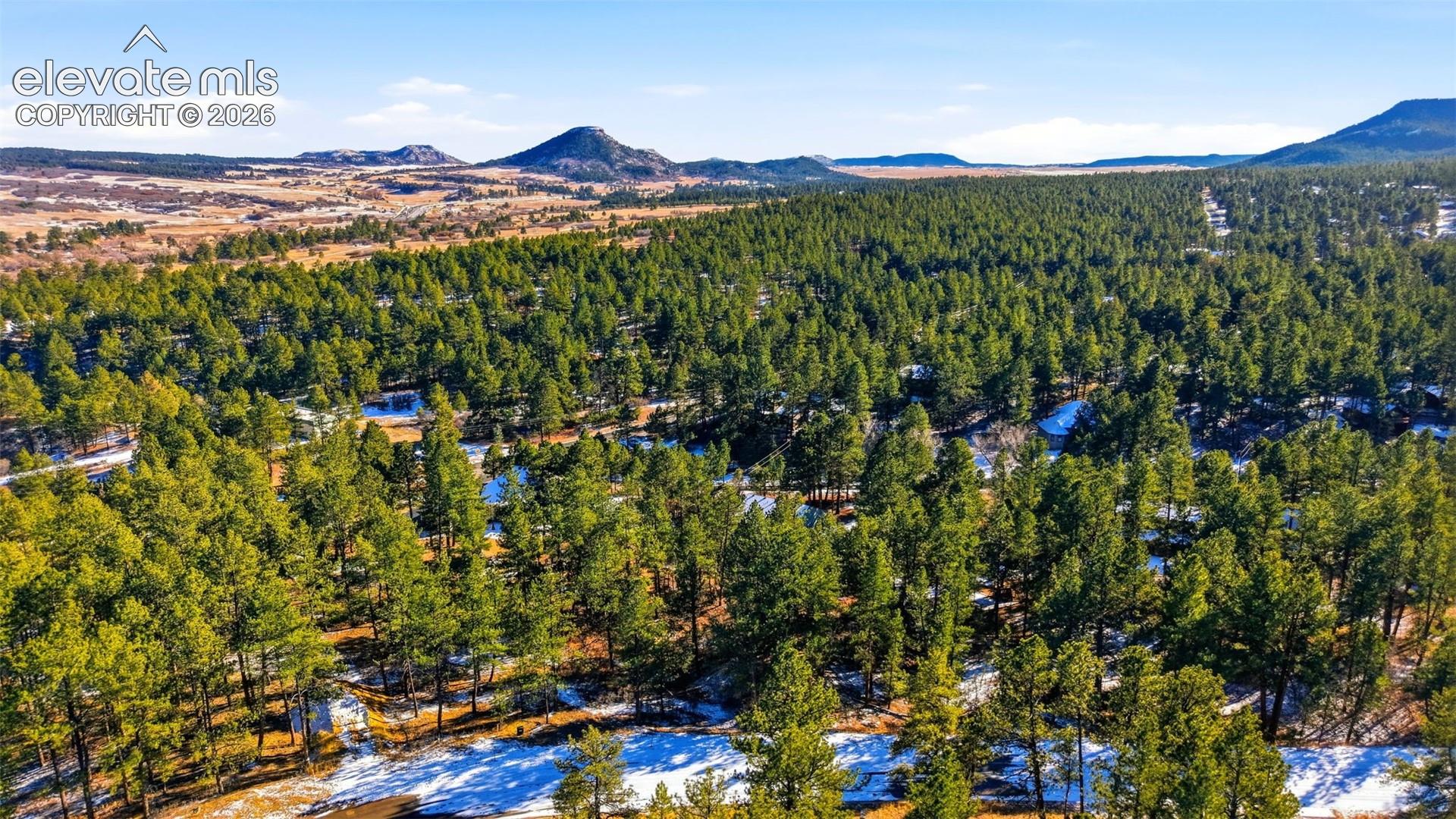Expansive forested landscape with scattered snow patches, bordered by distant rolling hills