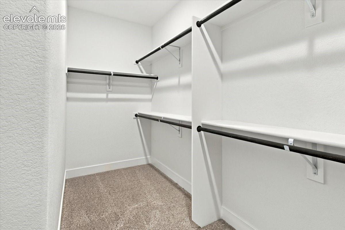 Walk-in closet featuring multi-level shelving, wall-mounted hanging rods, and neutral carpeting