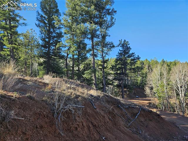 Photo 6 of 652 Derby Drive, Cripple Creek