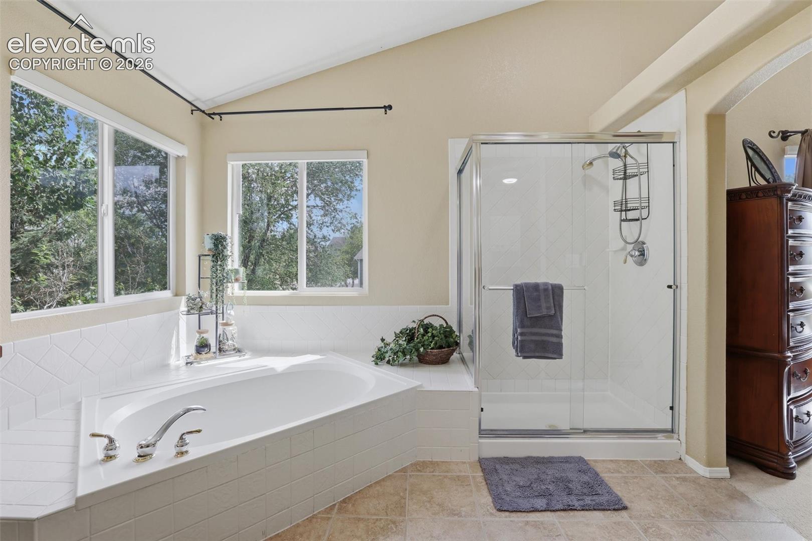 Photo 32 of 1353 Lookout Springs Drive, Colorado Springs