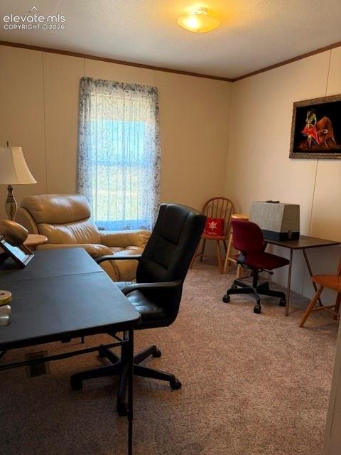 2nd bedroom, carpeted