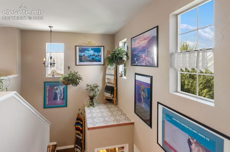 Photo 24 of 7033 Harrier Drive, Colorado Springs