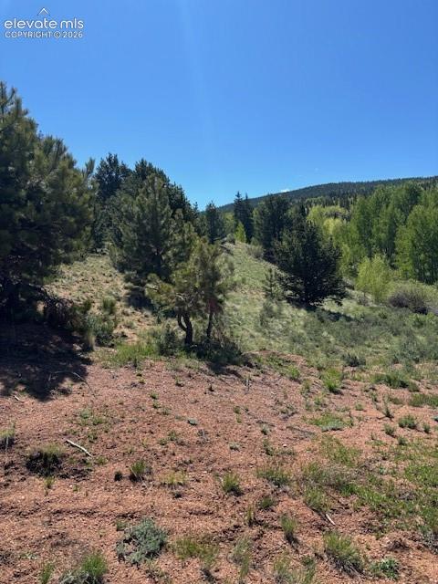 Photo 8 of 124 Yorktown Road, Cripple Creek