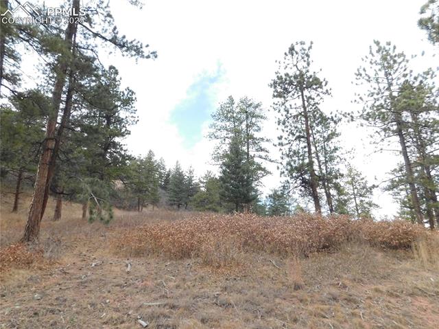 Photo 6 of 8055 Acoma Drive, Larkspur