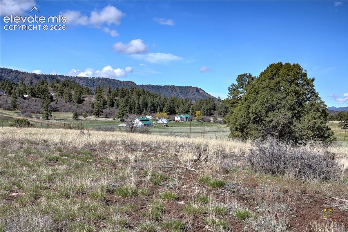Photo 23 of 1234 Scenic Avenue, Pagosa Springs