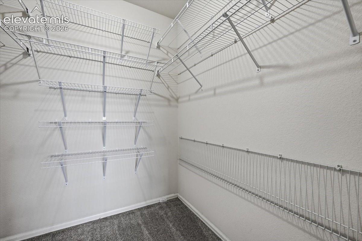 Walk-in closet featuring wire shelving and carpet flooring