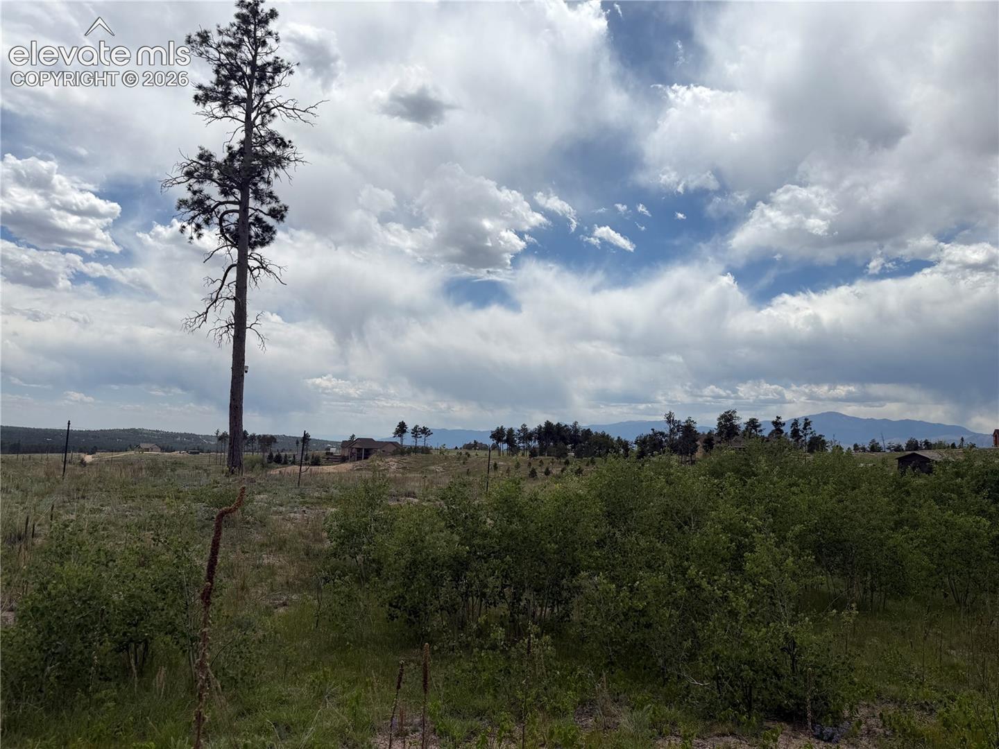 Photo 12 of 13810 Wildoak Drive, Black Forest