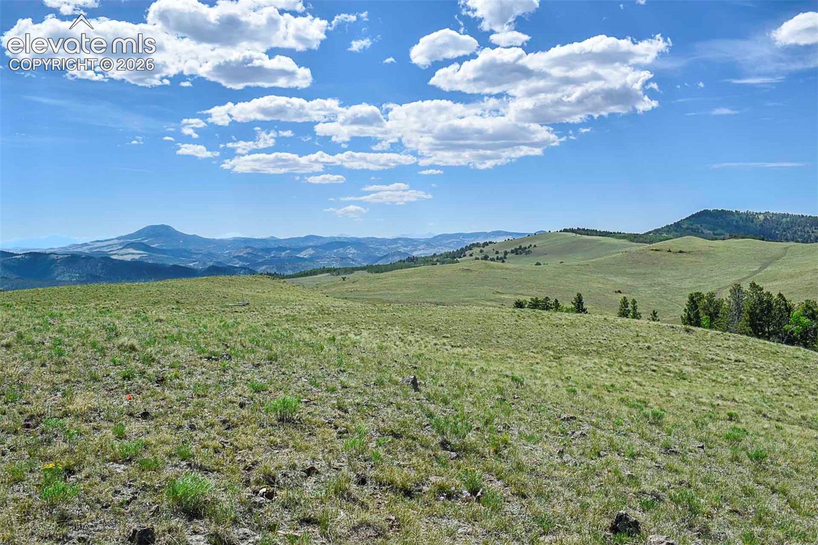 000 Bear Cat Rd, Guffey, CO 80820