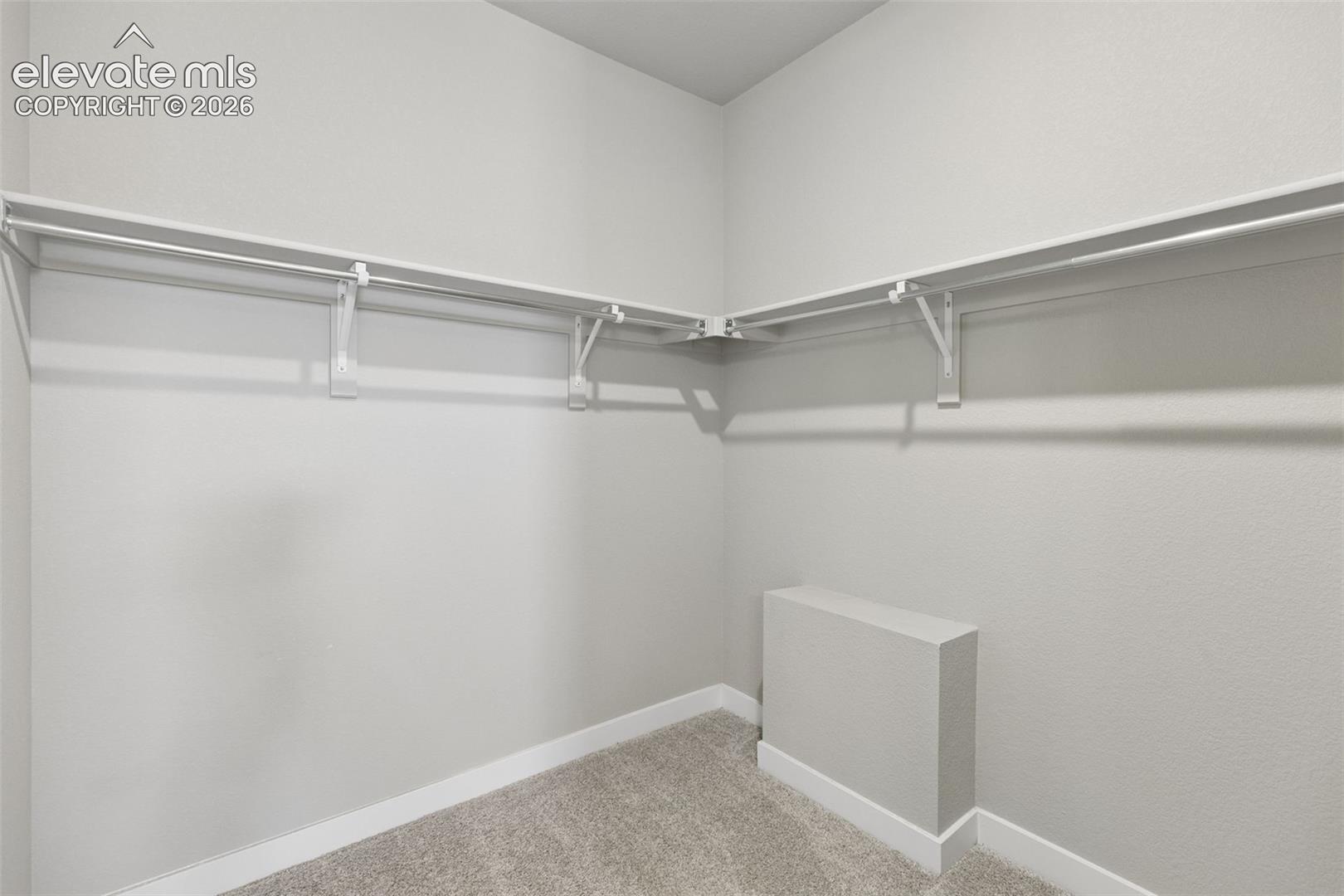 Walk-in storage space featuring neutral carpeting and wrap-around wall-mounted shelving with integrated hanging rods