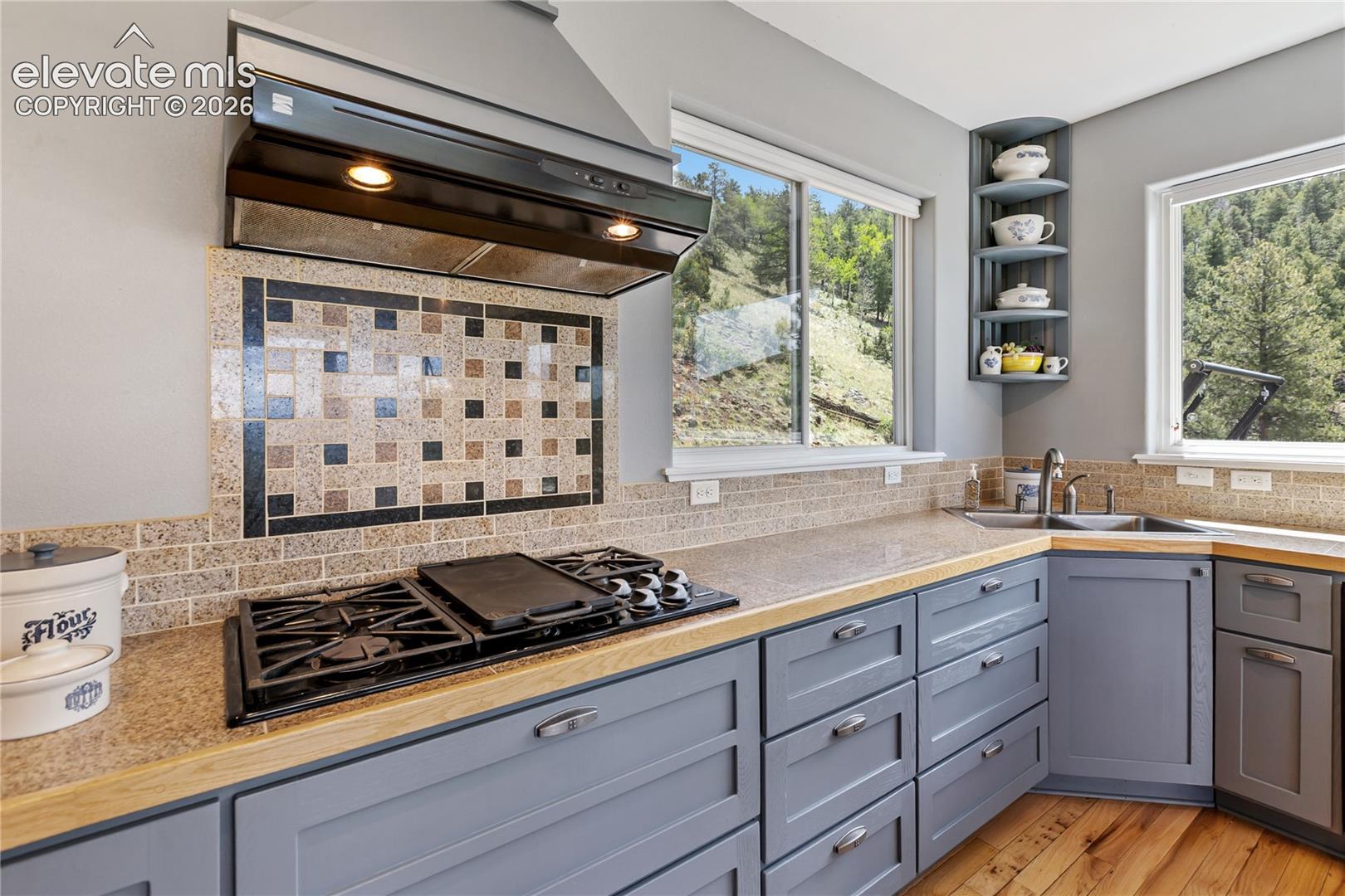 Gas stove/grill with propane, but can be converted to electric
