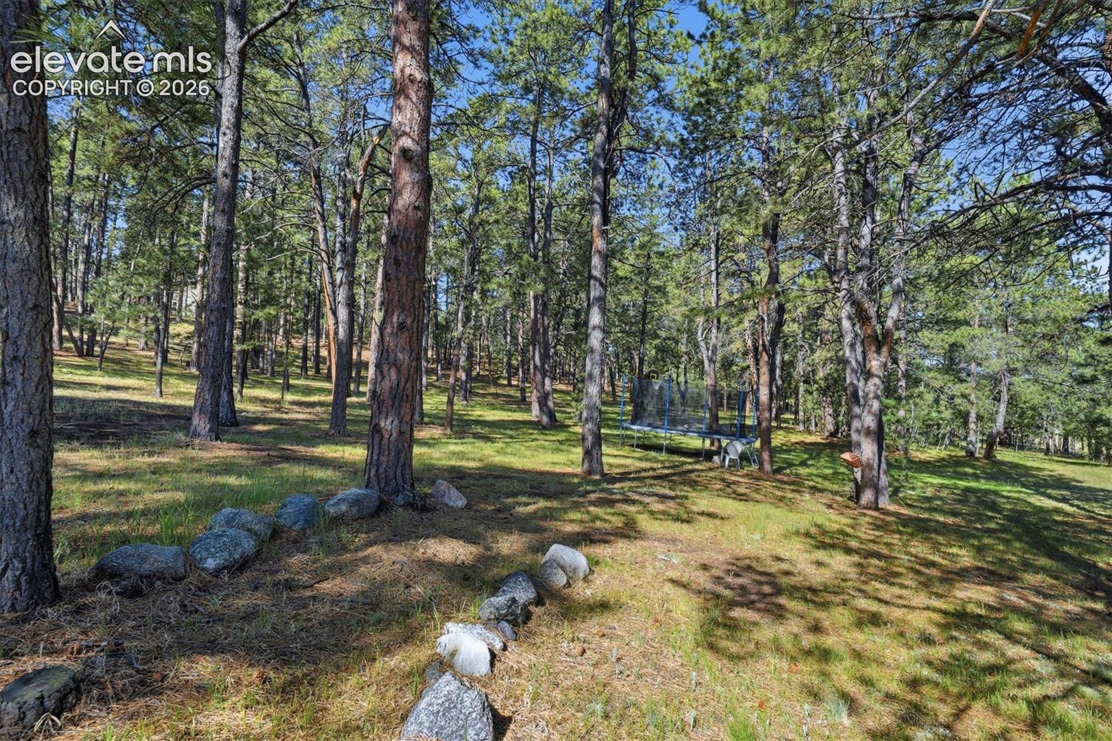 Photo 45 of 20470 Lockridge Drive, Colorado Springs