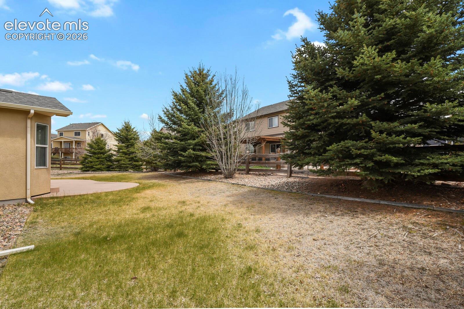 Expansive backyard featuring a curved paver patio, a partial grass lawn, and mature evergreen trees