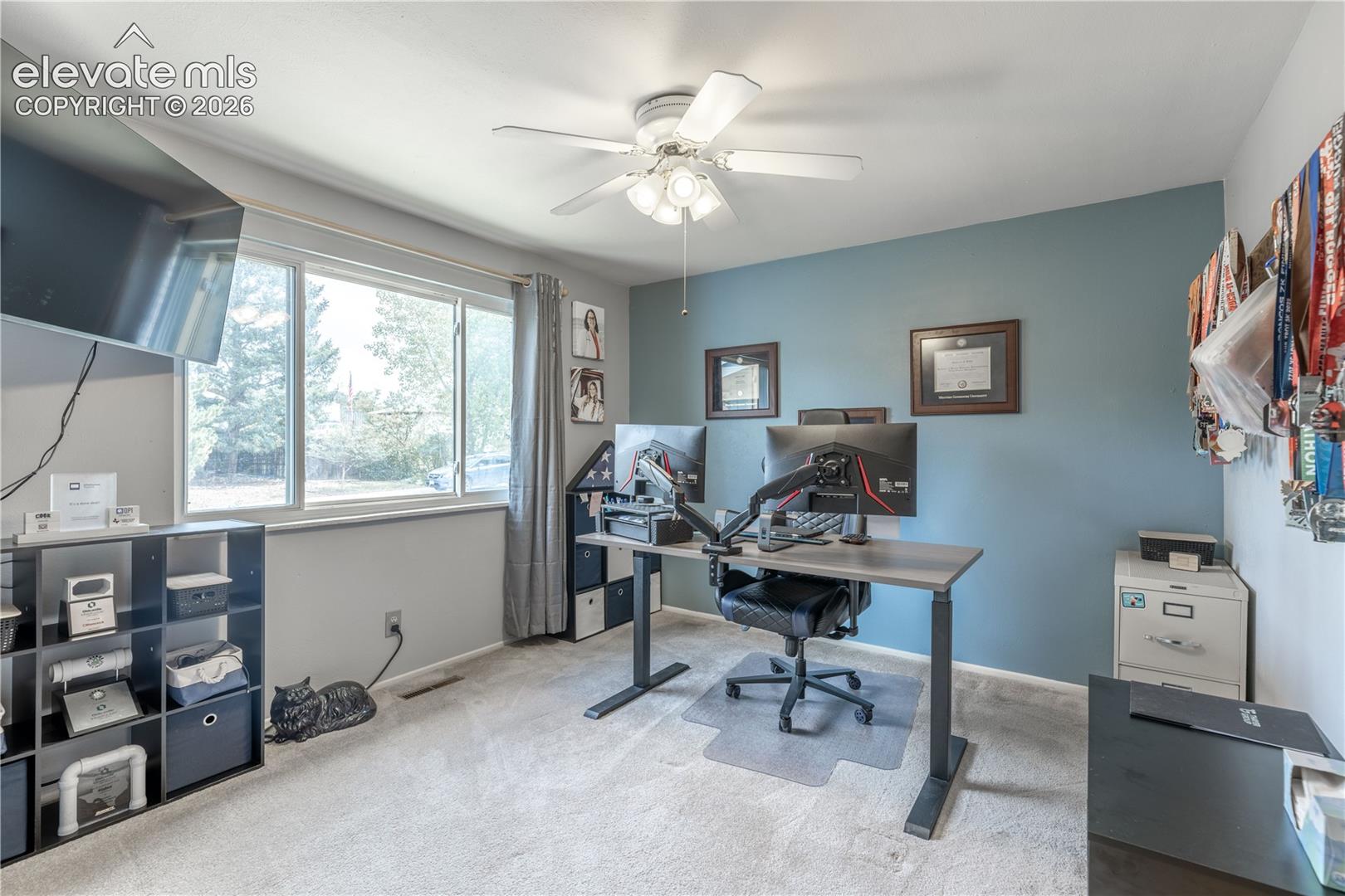Room featuring large window, neutral carpeting, ceiling fan with light fixture, and blue accent wall