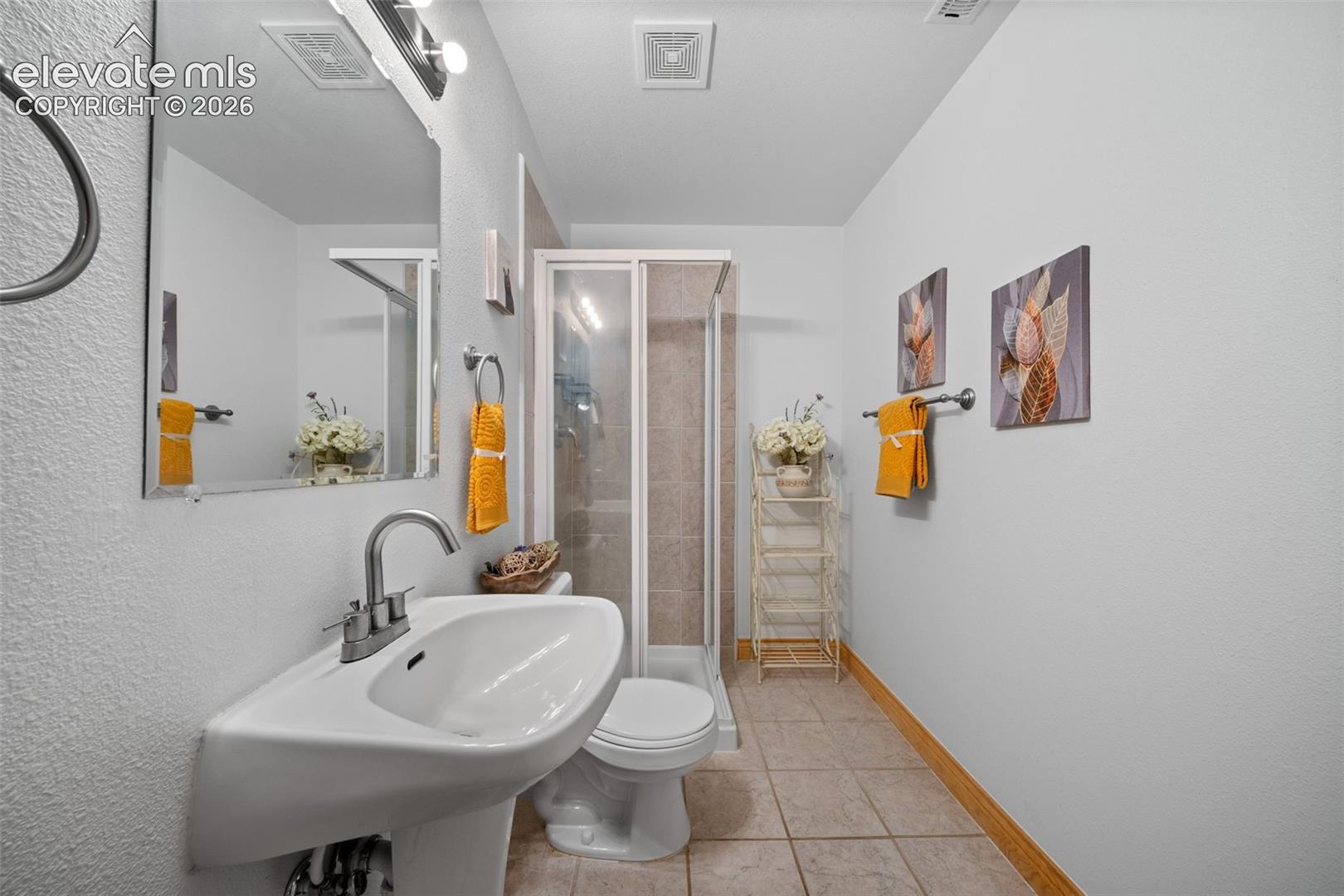 Basement bathroom
