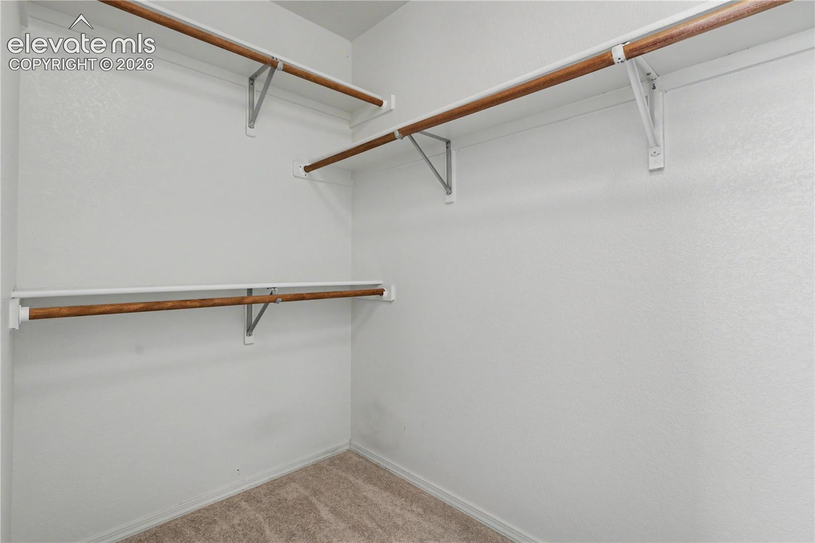 Closet with neutral carpeting and white textured walls
