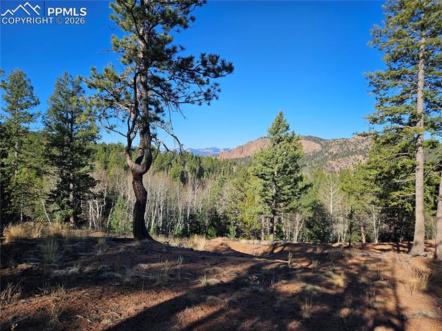 Photo 29 of 652 Derby Drive, Cripple Creek