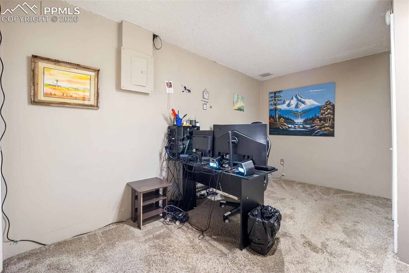 Photo 20 of 554 Manor Court #C, Woodland Park