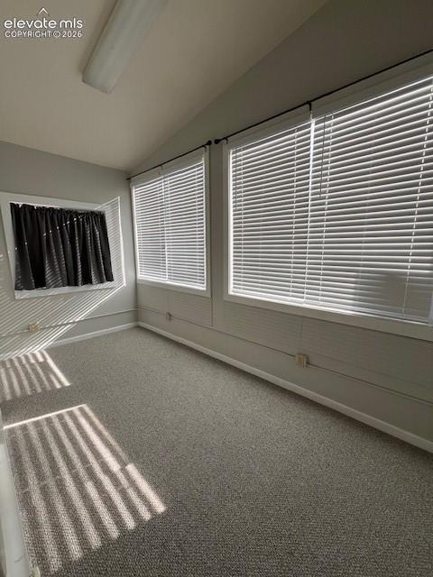 Room featuring neutral wall-to-wall carpeting, vaulted ceiling, dual windows with horizontal blinds, and a rectangular ceiling-mounted light fixture