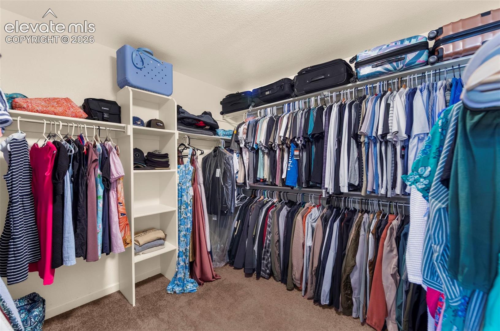 Walk-in closet featuring carpet flooring, built-in shelving, multiple hanging rods, and upper storage