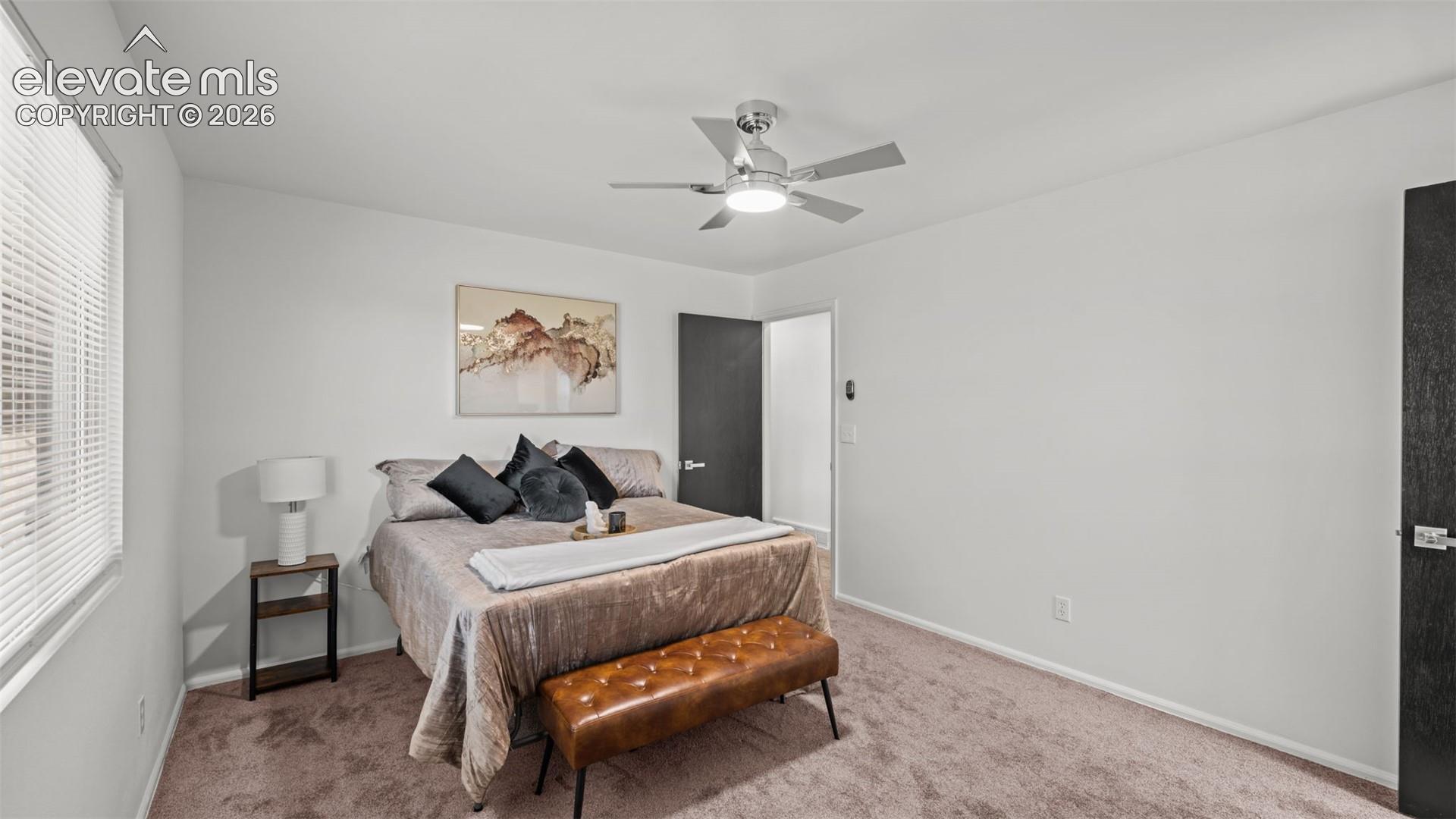 Light-filled room featuring neutral wall paint, ceiling fan, and carpeted flooring