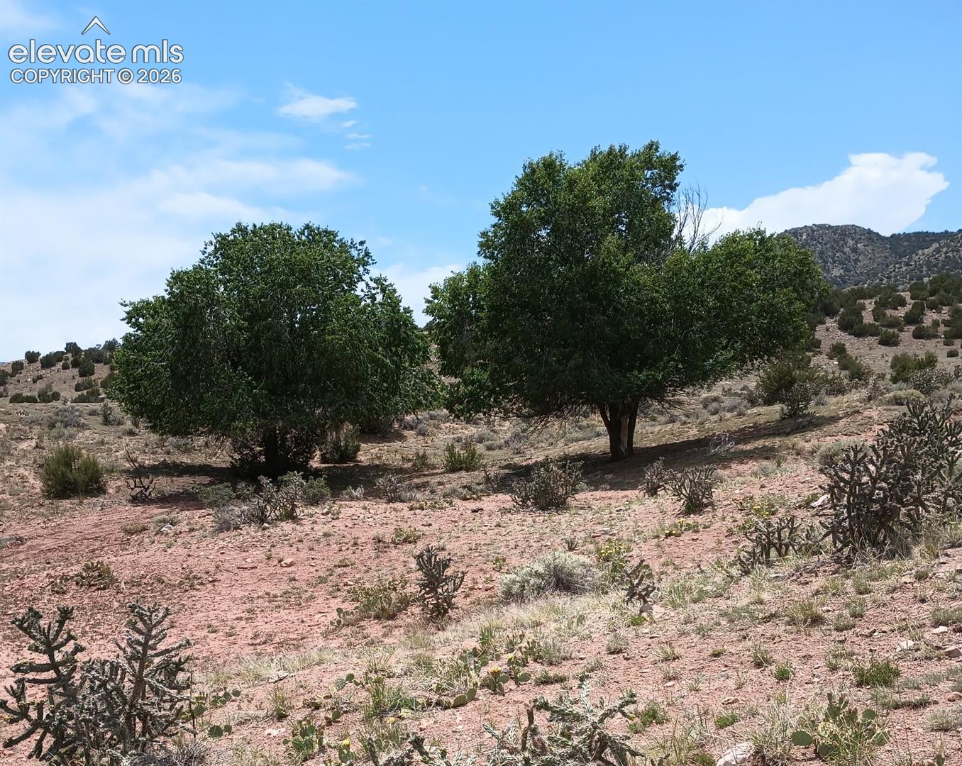 Photo 28 of 1731 County Road 69, Canon City