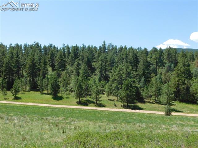 Photo 12 of 4668 Comanche Drive, Larkspur