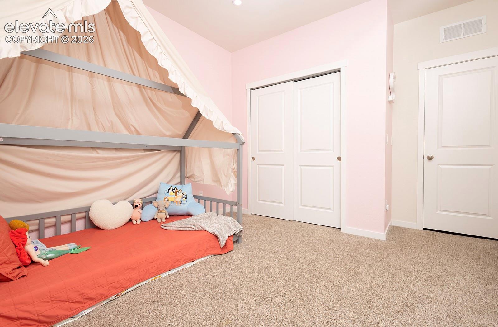 Photo 19 of 9828 Pennycress Drive, Colorado Springs