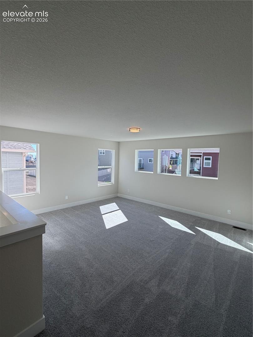 Neutral-toned interior room featuring wall-to-wall carpeting, multiple windows providing natural light, and a flush-mount ceiling light fixture