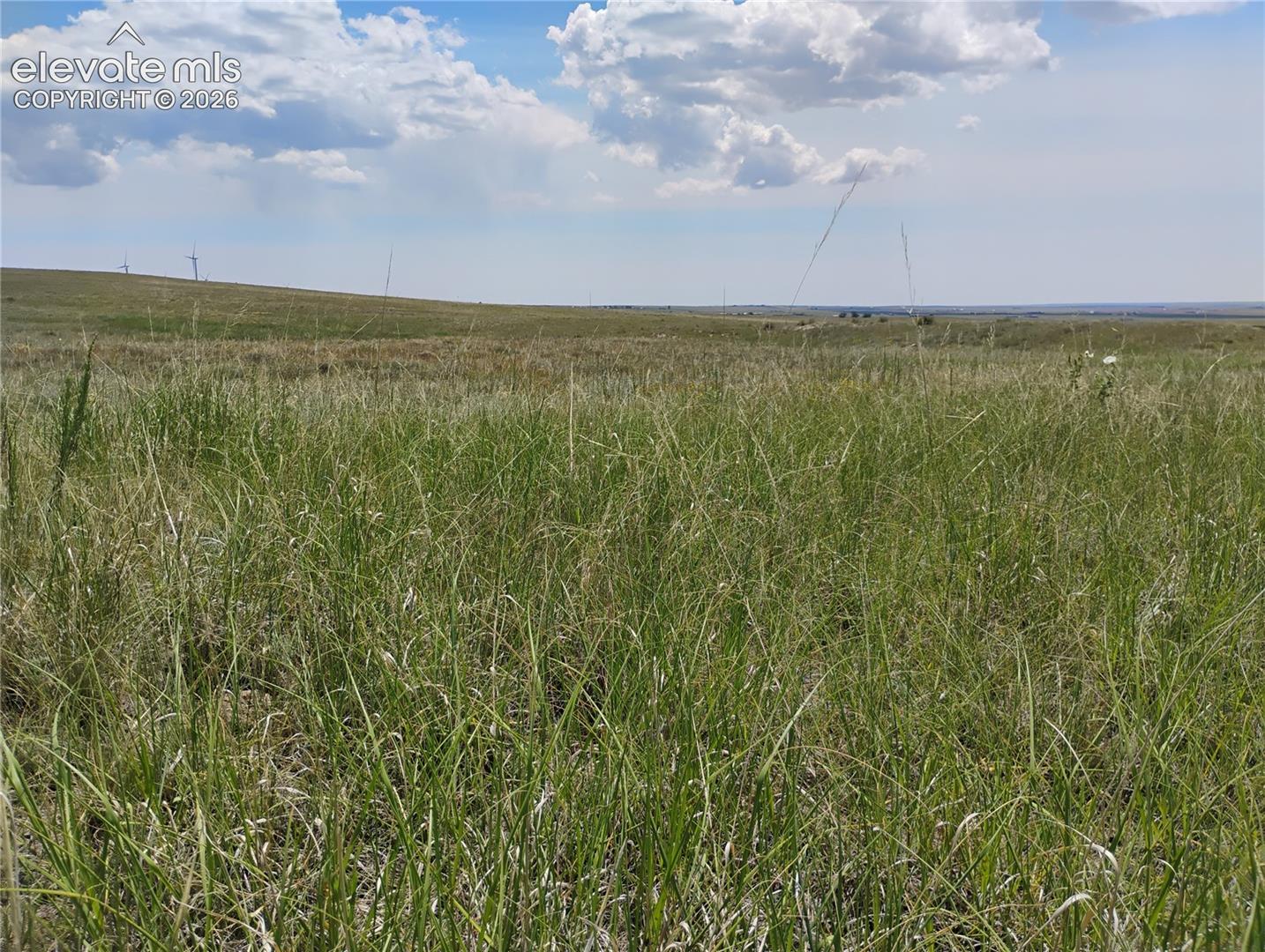 Photo 13 of 29455 Tallgrass View, Calhan