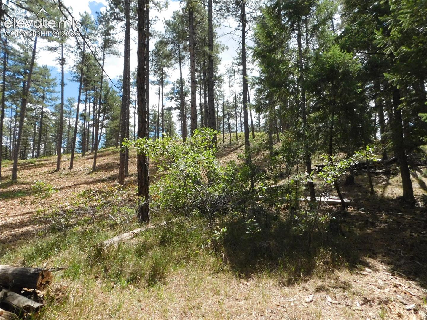 Photo 14 of 8139 Bannock Drive, Larkspur