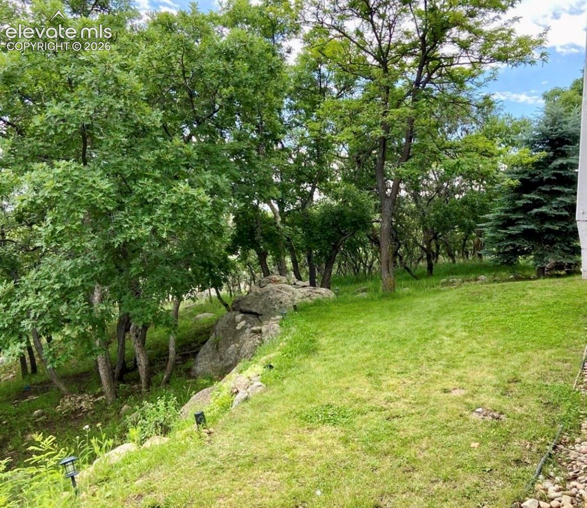 Naturalized landscape featuring mature deciduous and coniferous trees, integrated rock outcroppings, and expansive lawn area with ground-level pathway lighting